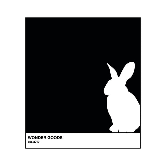 Wonder Rabbit Black